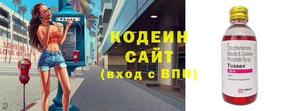 ПСИЛОЦИБИНОВЫЕ ГРИБЫ Арсеньев