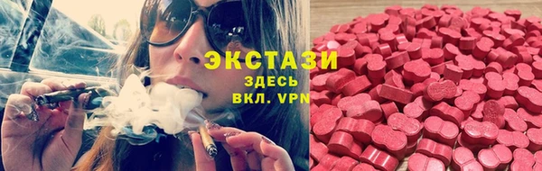 спиды Аркадак